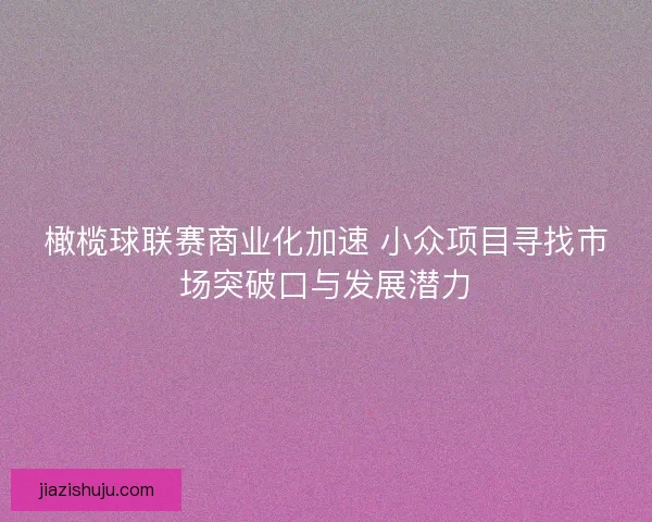 橄榄球联赛商业化加速 小众项目寻找市场突破口与发展潜力